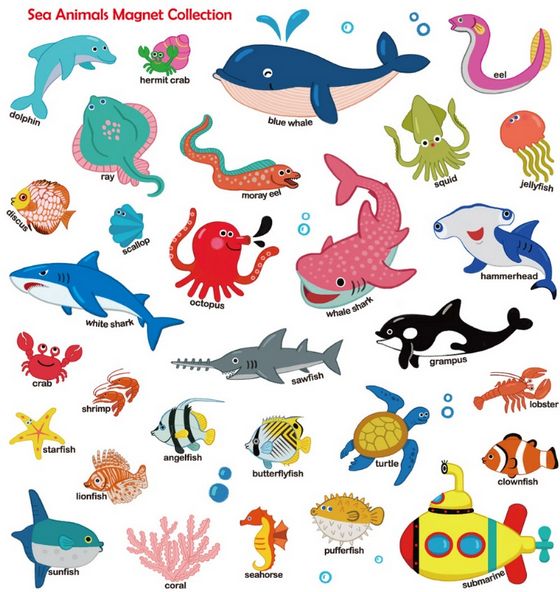 First Magnet Book：Ocean Animals（內含30個認知磁鐵+3摺頁超大場景）
